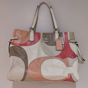 Coach Multicolor Bag